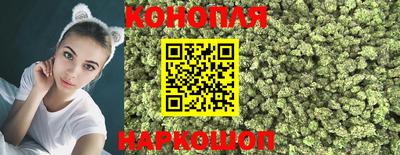мяу мяу мука Камышлов