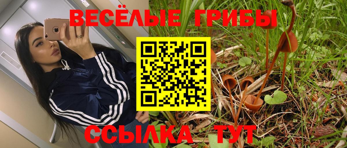 Галлюциногенные грибы ЛСД Тейково