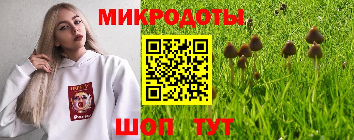 Тейково  Псилоцибиновые грибы мухоморы  Вход с VPN 