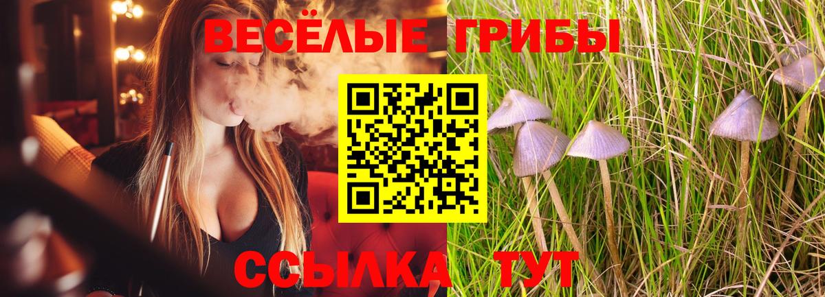 Меф Тейково